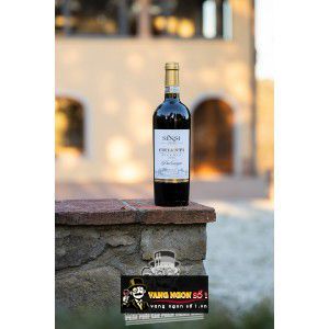 Rượu Vang Ý Sensi Dalcampo Chianti Docg Riserva thượng hạng bn3
