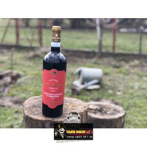 Rượu Vang Ý Epicuro Montepulciano dAbruzzo D.O.P uống ngon bn1