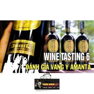 Rượu Vang Ý Amanta Limited Edition thượng hạng bn1