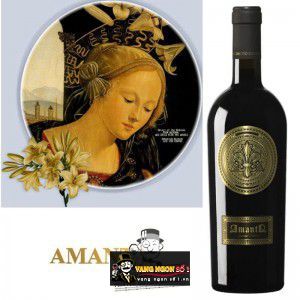 Rượu Vang Ý Amanta Limited Edition thượng hạng bn2