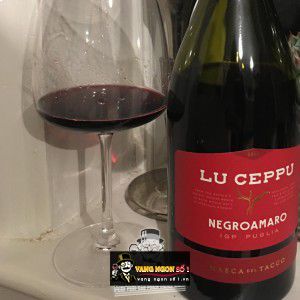 Rượu vang Ý Masca Del Tacco Lu Ceppu Negroamaro IGP Puglia thượng hạng bn3