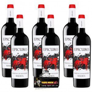 Rượu Vang Ý Epicuro Primitivo Di Manduria Riserva bn1
