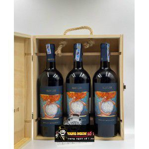 Vang Ý Martino Dolcimemorie Rosso Salento uống ngon bn2