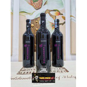 Rượu Vang Chát Aglianico Polvanera Puglia - Vang organic cao cấp bn2