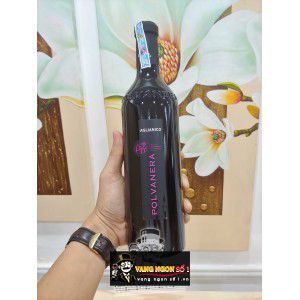 Rượu Vang Chát Aglianico Polvanera Puglia - Vang organic cao cấp bn3