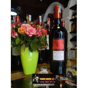 Rượu Vang Ý Appassimento Negroamaro Passito Salento uống ngon bn2