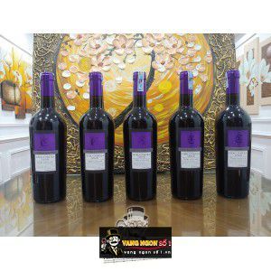 Rượu Vang Ý Nero Davola Syrah Terre Siciliane uống ngon bn1