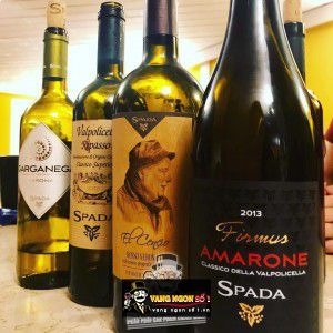 Rượu Vang Chát Ý Spada El Cencio Rosso Verona thượng hạng bn4