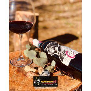 Rượu Vang Đỏ Concetto Montepulciano Dabruzzo uống ngon bn2