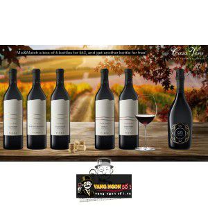 Rượu Vang Đỏ Chát Pinot Nero Friuli Uống Ngon bn2