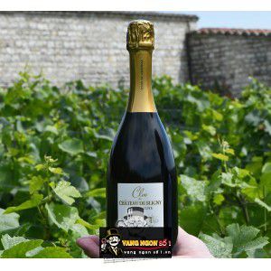 Rượu vang nổ Clos Du Chateau De Bligny Brut Nature thượng hạng bn3