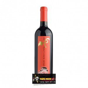 Rượu Vang Ý Piantate Lunghe Rosso Conero uống ngon