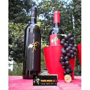 Rượu Vang Ý Piantate Lunghe Rosso Conero uống ngon bn4