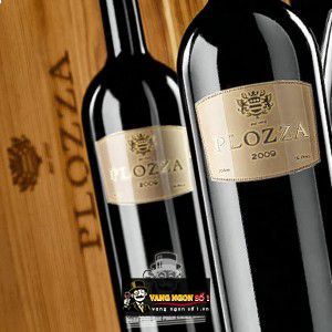 Rượu Vang Ý PLOZZA cao cấp bn1