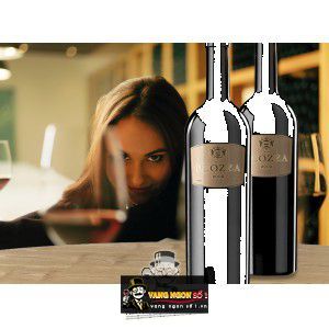 Rượu Vang Ý PLOZZA cao cấp bn2