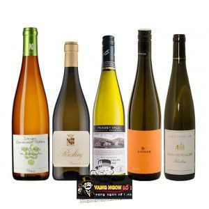 Rượu Vang Ý San Leonardo Riesling thượng hạng bn2