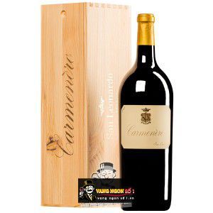 Rượu Vang Ý San Leonardo Carmenere cao cấp bn2