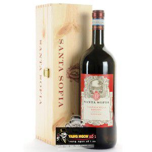 Rượu Vang Ý Santa Sofia Valpolicella Ripasso Superiore cao cấp bn3