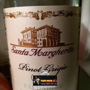 Rượu Vang Ý Santa Margherita Pinot Grigio Valdadige uống ngon bn2