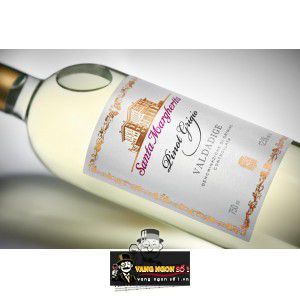 Rượu Vang Ý Santa Margherita Pinot Grigio Valdadige uống ngon bn3