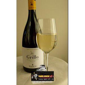Rượu Vang Ý Tasca dAlmerita Regaleali Grillo Cavallo Delle Fate uống ngon bn2