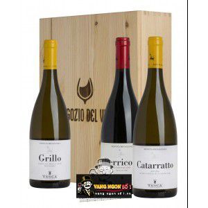 Rượu Vang Ý Tasca dAlmerita Regaleali Grillo Cavallo Delle Fate uống ngon bn3