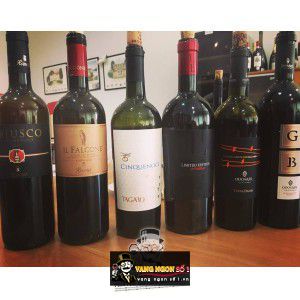 Rượu Vang Ý Tagaro UCucci Susumaniello uống ngon bn2