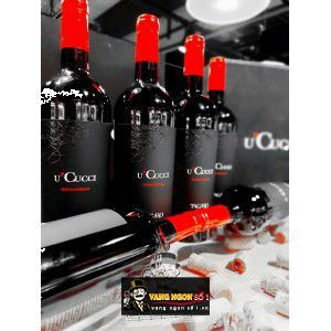 Rượu Vang Ý Tagaro UCucci Susumaniello uống ngon bn3