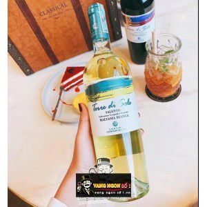 Rượu Vang Ý Terre Di Sole Bianca uống ngon bn1