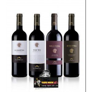 Rượu Vang Ý Tenute Lunelli Teuto Costa Toscana cao cấp bn3