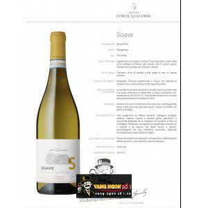 Rượu Vang Ý Corte Giacobbe Soave uống ngon bn2