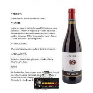 Rượu Vang Ý Pio Cesare IL Nebbio Langhe thượng hạng bn2