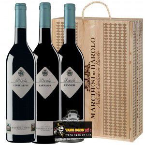 Rượu Vang Ý Marchesi Di Barolo Coste Di Rose cao cấp bn3