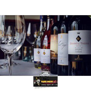 Rượu Vang Guado Al Tasso thượng hạng bn3