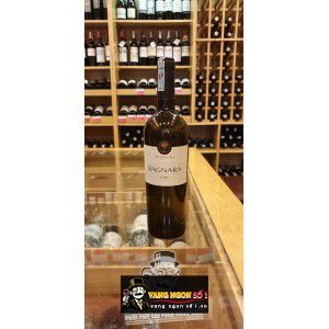 Rượu Vang Due Palme Bagnara Fiano thượng hạng bn2