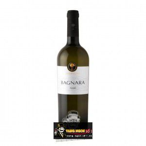 Rượu Vang Due Palme Bagnara Fiano thượng hạng