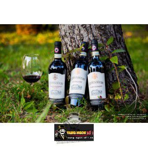 Rượu Vang Castelvecchi Gran Selezione Chianti Classico Madonnino cao cấp bn1