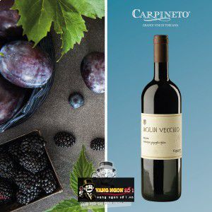 Rượu Vang Carpineto Molin Vecchio cao cấp bn1