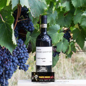 Rượu Vang Carpineto Molin Vecchio cao cấp bn3