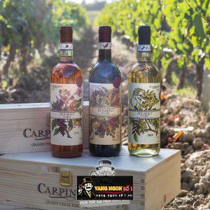 Rượu vang Carpineto Dogajolo Sangiovese - Cabernet Sauvignon uống ngon bn3