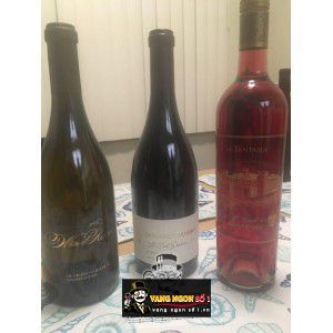 Rượu Vang Wind Racer Chardonnay cao cấp bn2