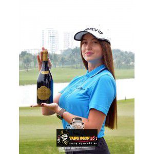 Rượu Vang Pháp Castille 1838 thượng hạng bn3