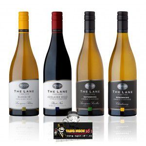 Rượu Vang Beginning The Lane Vineyard Chardonnay uống ngon bn1
