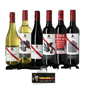 Rượu vang The Galvo Garage DArenberg cao cấp bn1