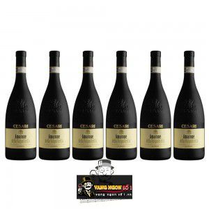 Vang Ý Cesari Amarone Della Valpolicella Classico cao cấp bn3