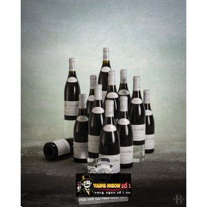 Vang Pháp Cote De Nuits Villages Maison Leroy cao cấp bn2