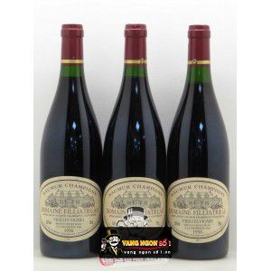 Vang Pháp Domaine Filliatreau Saumur Champigny Vieilles Vignes thượng hạng bn1