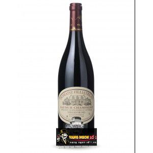 Vang Pháp Domaine Filliatreau Saumur Champigny Vieilles Vignes thượng hạng bn2