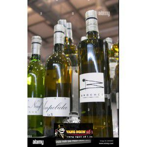 Vang Pháp Brochet Coteaux Du Layon Chenin Blanc thượng hạng bn1