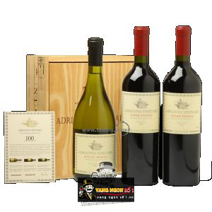 Rượu vang Adrianna Vineyard River Stones Catena Zapata Malbec cao cấp bn2